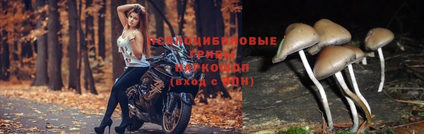амф Балахна