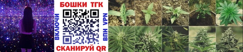 Купить где  Вяземский  Канабис гибрид 
